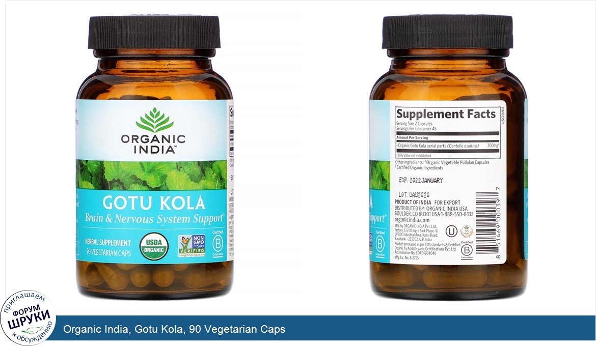 Organic_India__Gotu_Kola__90_Vegetarian_Caps.jpg