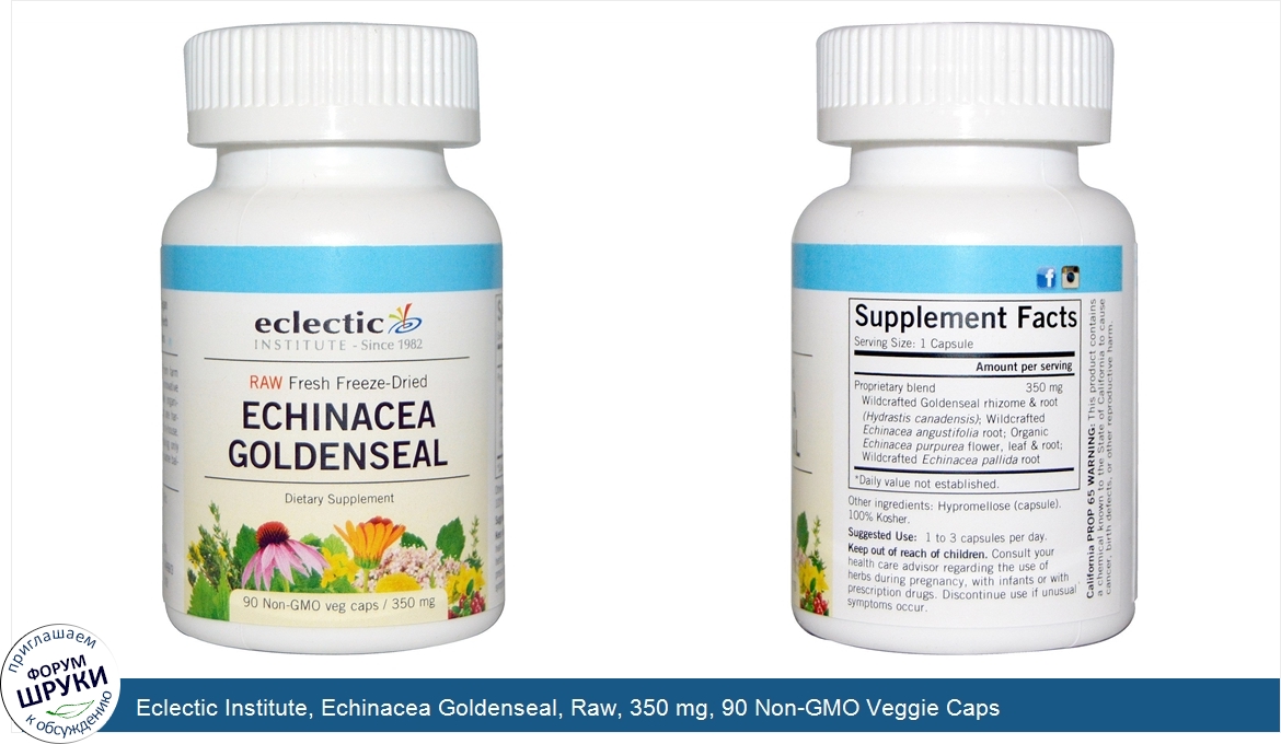 Eclectic_Institute__Echinacea_Goldenseal__Raw__350_mg__90_Non_GMO_Veggie_Caps.jpg