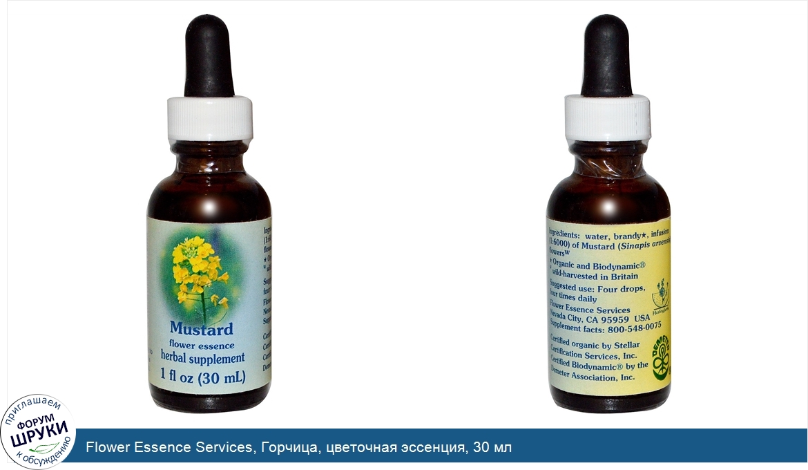 Flower_Essence_Services__Горчица__цветочная_эссенция__30_мл.jpg