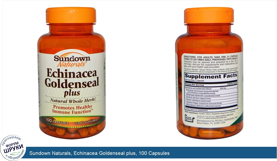 Sundown_Naturals__Echinacea_Goldenseal_plus__100_Capsules.jpg