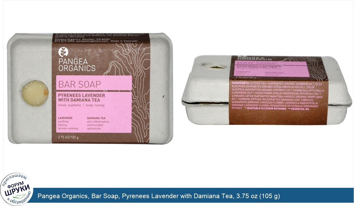 Pangea_Organics__Bar_Soap__Pyrenees_Lavender_with_Damiana_Tea__3.75_oz__105_g_.jpg