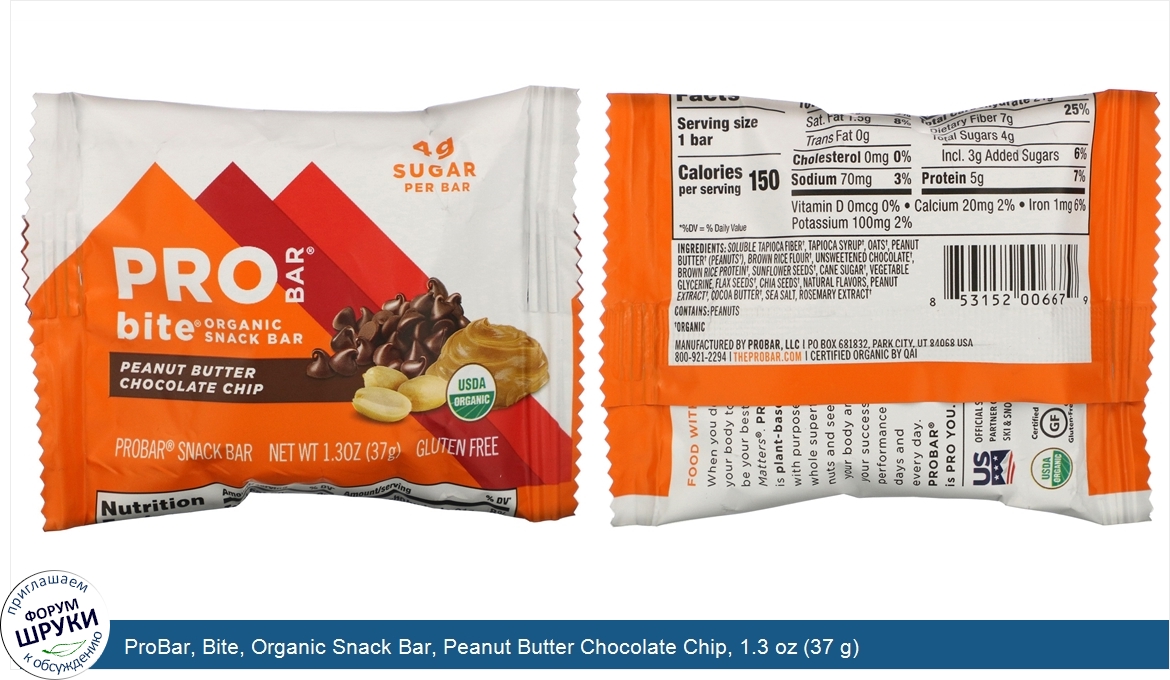 ProBar__Bite__Organic_Snack_Bar__Peanut_Butter_Chocolate_Chip__1.3_oz__37_g_.jpg