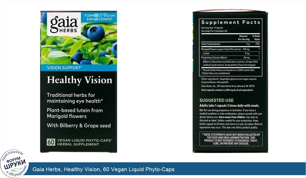 Gaia_Herbs__Healthy_Vision__60_Vegan_Liquid_Phyto_Caps.jpg