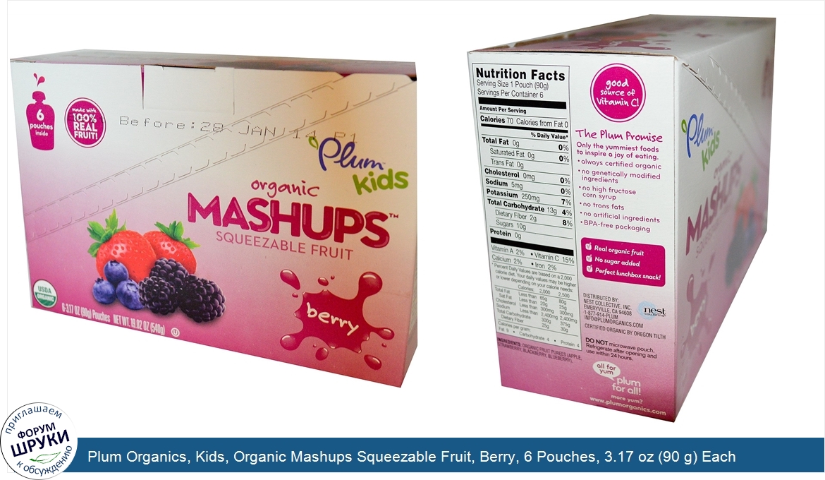 Plum_Organics__Kids__Organic_Mashups_Squeezable_Fruit__Berry__6_Pouches__3.17_oz__90_g__Each.jpg