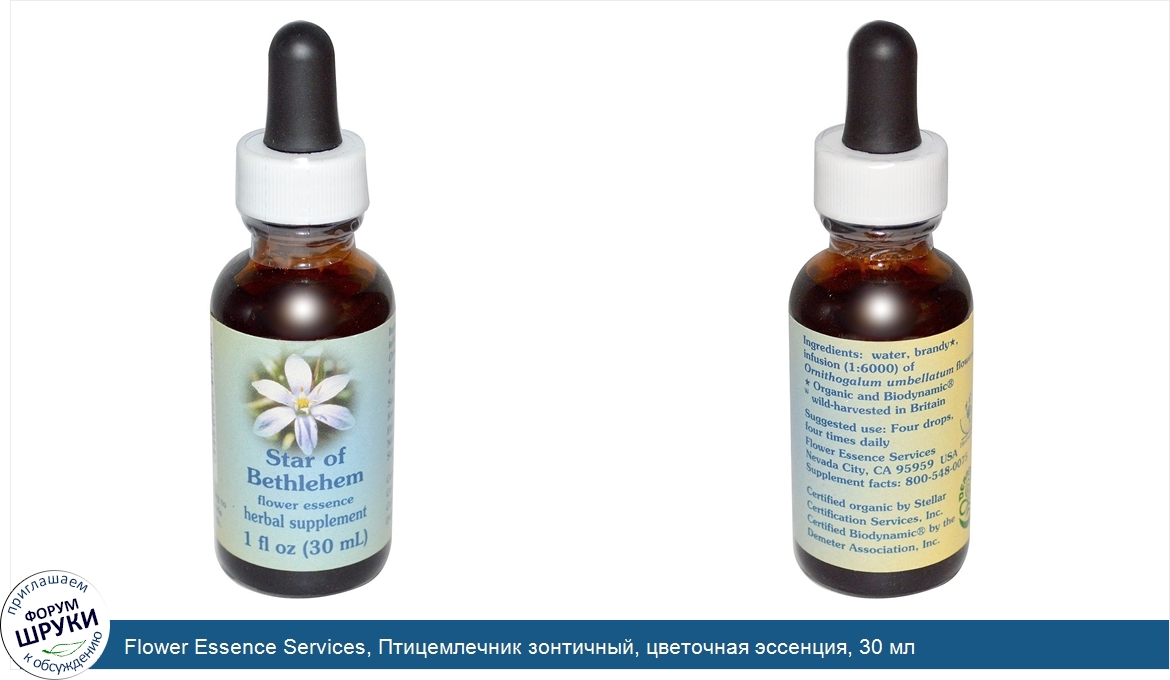 Flower_Essence_Services__Птицемлечник_зонтичный__цветочная_эссенция__30_мл.jpg