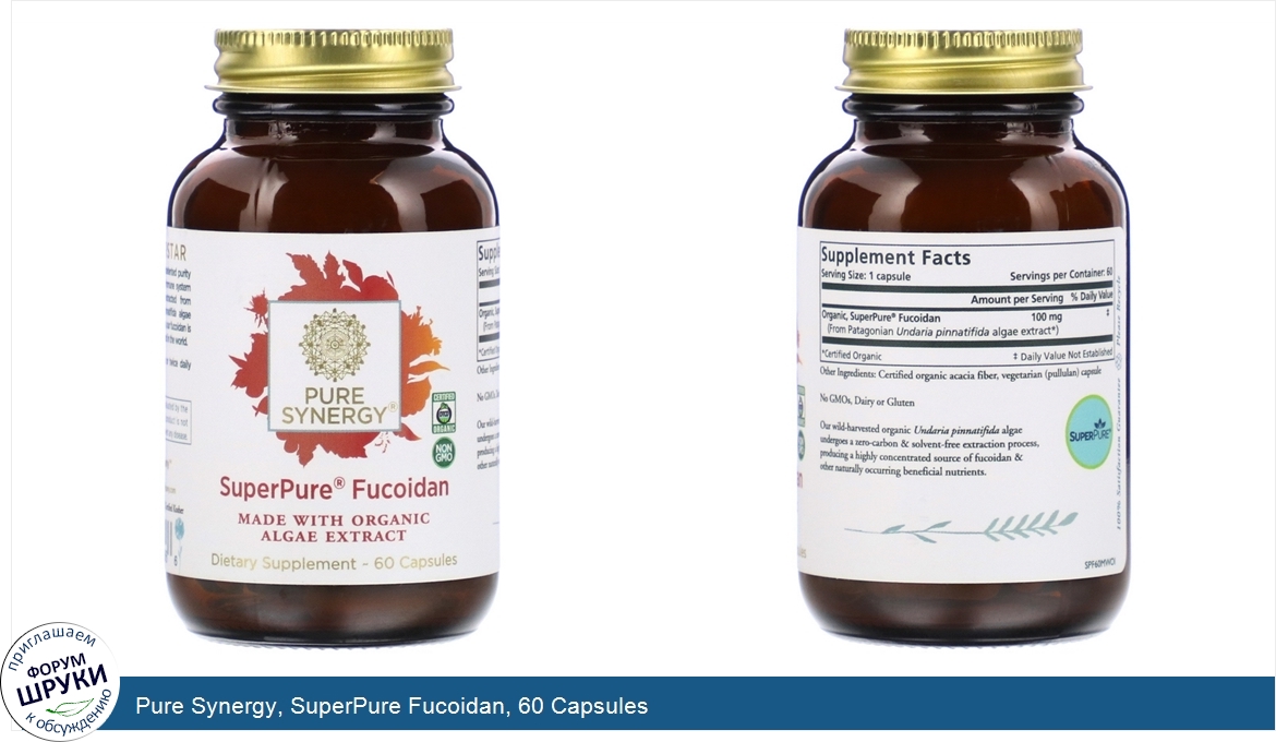 Pure_Synergy__SuperPure_Fucoidan__60_Capsules.jpg