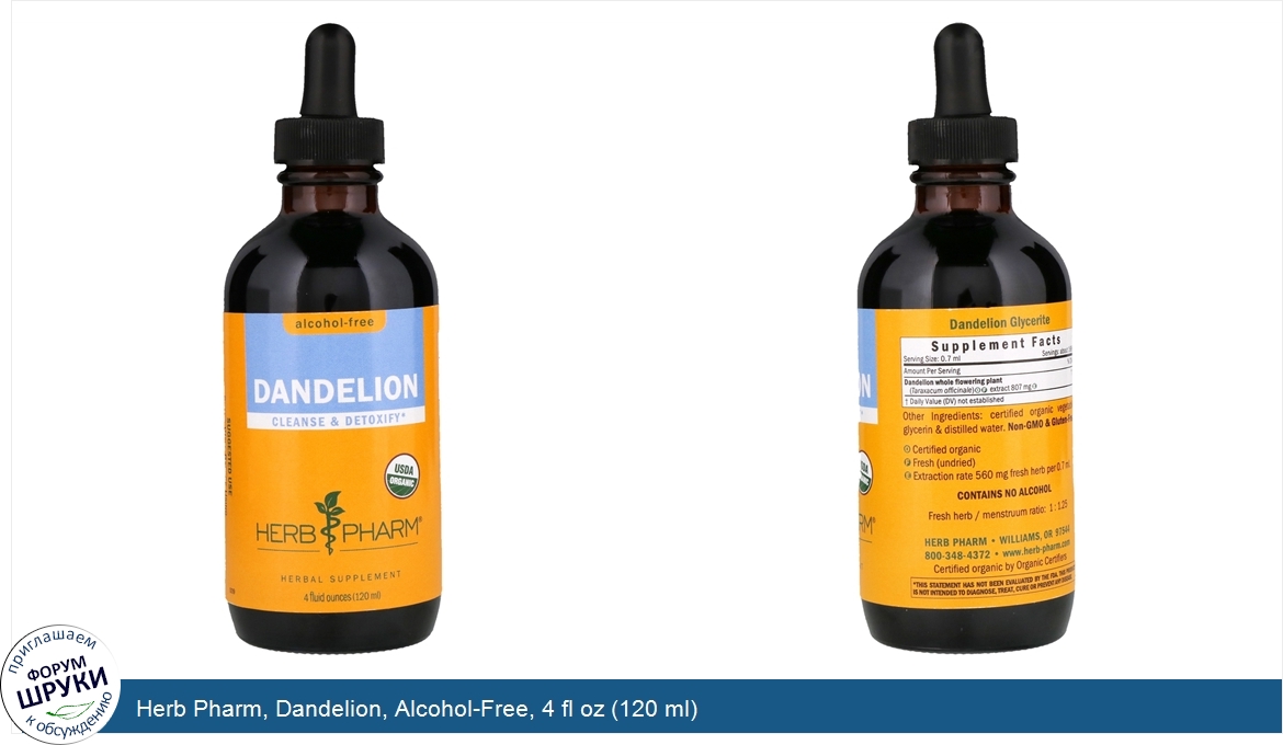 Herb_Pharm__Dandelion__Alcohol_Free__4_fl_oz__120_ml_.jpg