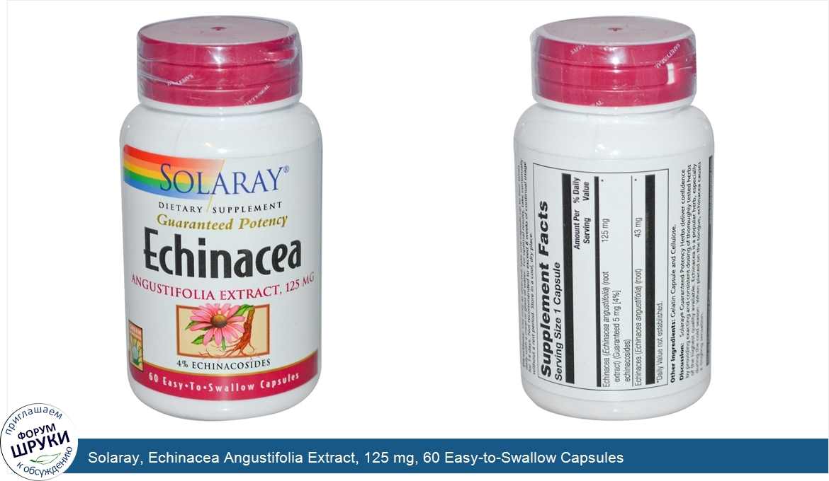 Solaray__Echinacea_Angustifolia_Extract__125_mg__60_Easy_to_Swallow_Capsules.jpg