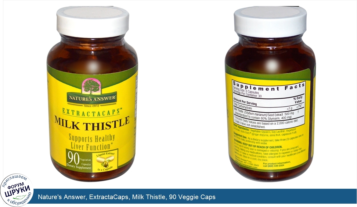 Nature_s_Answer__ExtractaCaps__Milk_Thistle__90_Veggie_Caps.jpg