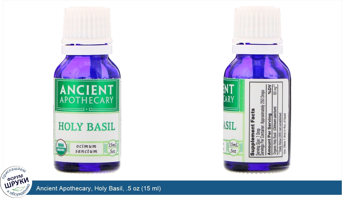 Ancient_Apothecary__Holy_Basil__.5_oz__15_ml_.jpg