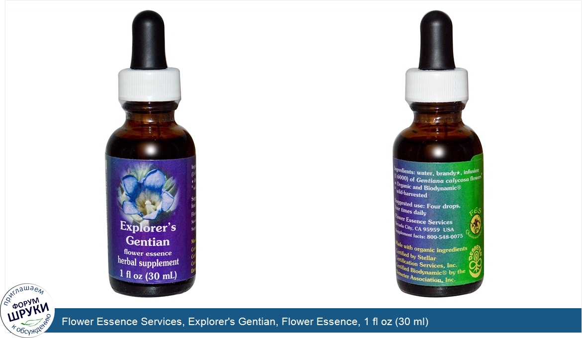 Flower_Essence_Services__Explorer_s_Gentian__Flower_Essence__1_fl_oz__30_ml_.jpg