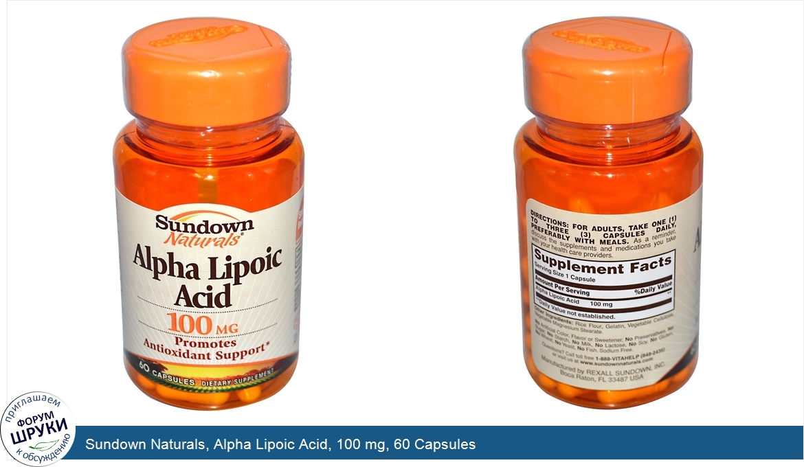 Sundown_Naturals__Alpha_Lipoic_Acid__100_mg__60_Capsules.jpg