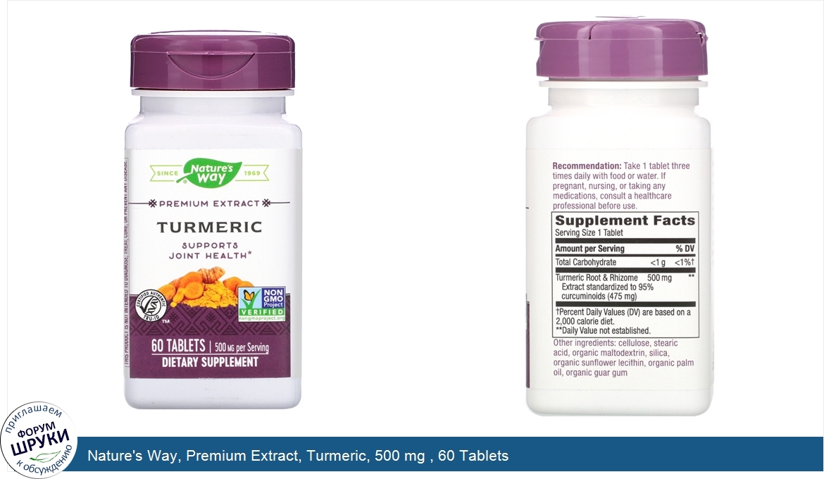 Nature_s_Way__Premium_Extract__Turmeric__500_mg___60_Tablets.jpg