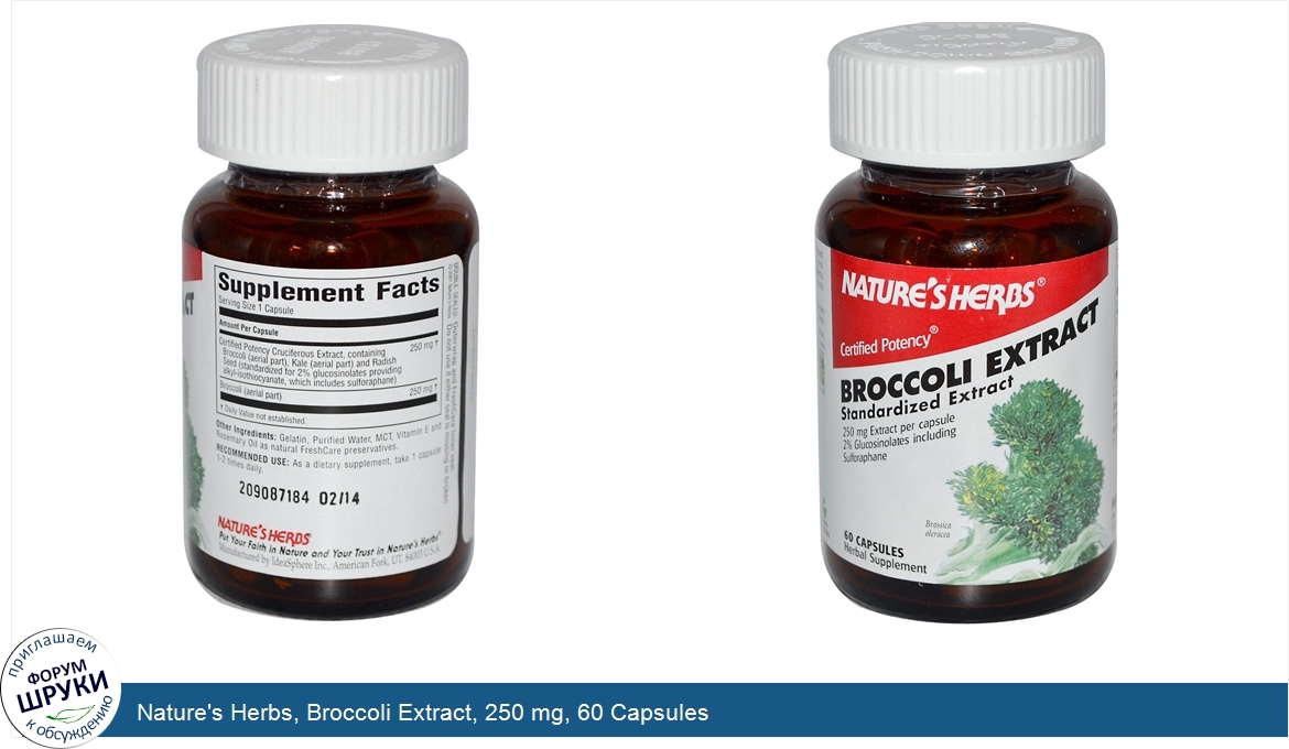 Nature_s_Herbs__Broccoli_Extract__250_mg__60_Capsules.jpg