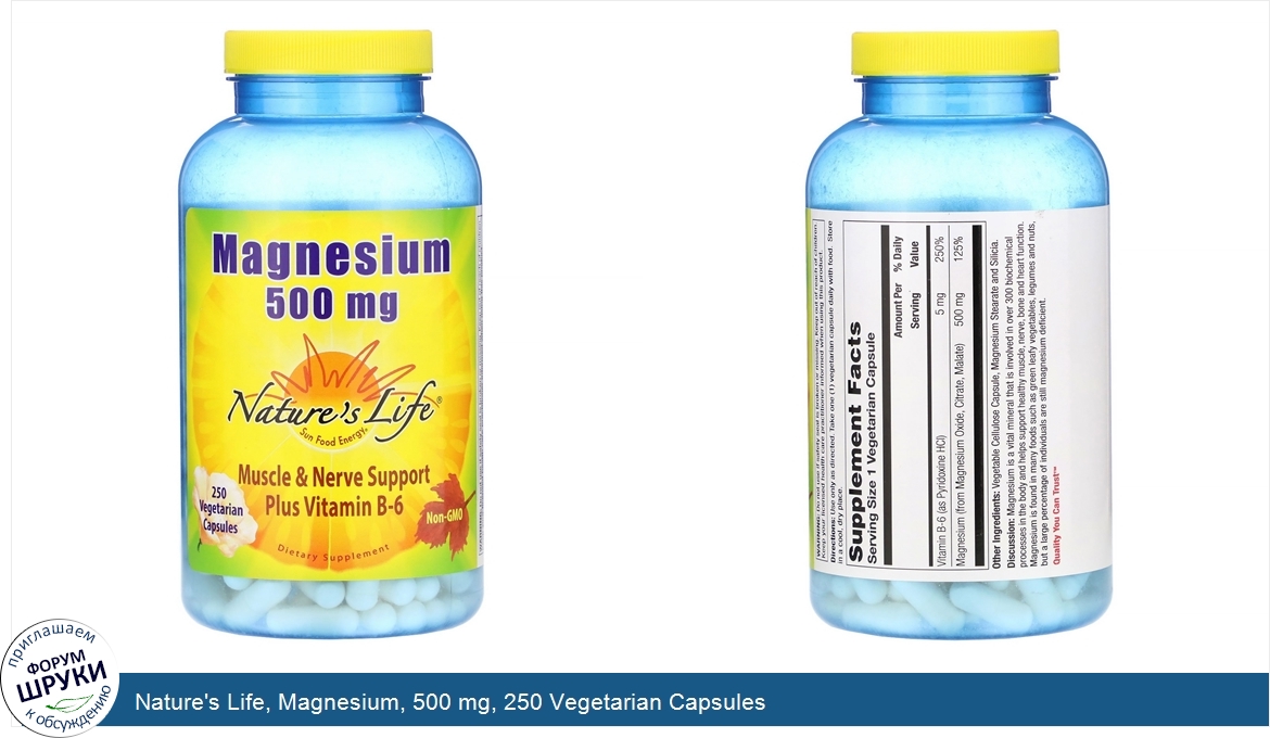 Nature_s_Life__Magnesium__500_mg__250_Vegetarian_Capsules.jpg