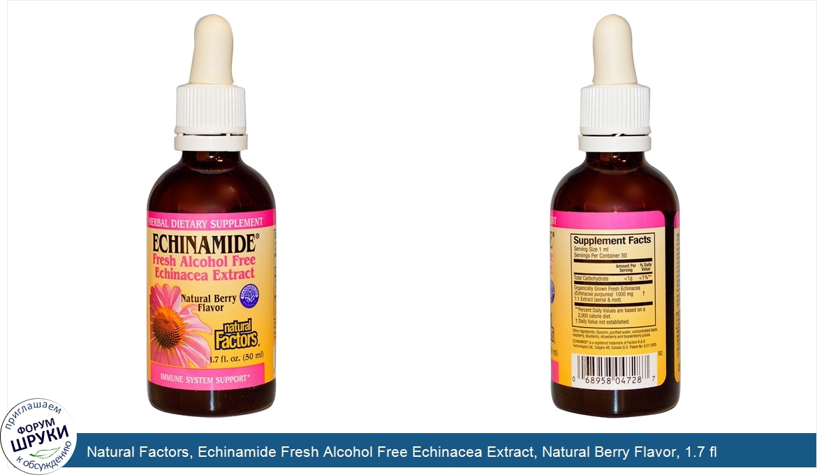 Natural_Factors__Echinamide_Fresh_Alcohol_Free_Echinacea_Extract__Natural_Berry_Flavor__1.7_fl...jpg