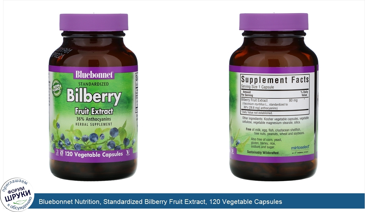 Bluebonnet_Nutrition__Standardized_Bilberry_Fruit_Extract__120_Vegetable_Capsules.jpg