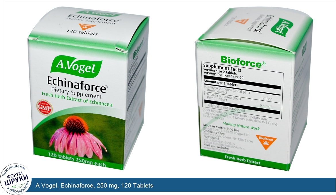 A_Vogel__Echinaforce__250_mg__120_Tablets.jpg