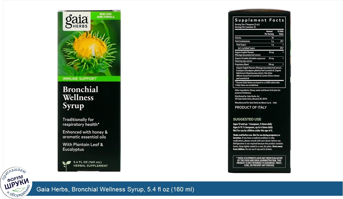 Gaia_Herbs__Bronchial_Wellness_Syrup__5.4_fl_oz__160_ml_.jpg