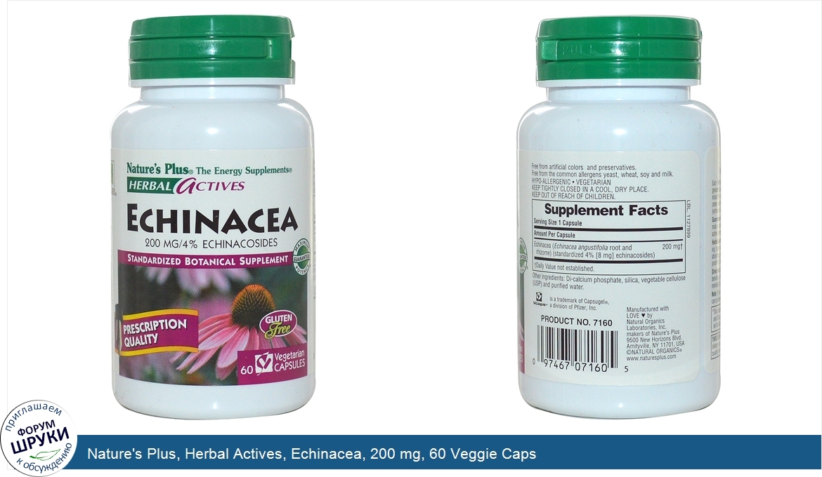 Nature_s_Plus__Herbal_Actives__Echinacea__200_mg__60_Veggie_Caps.jpg