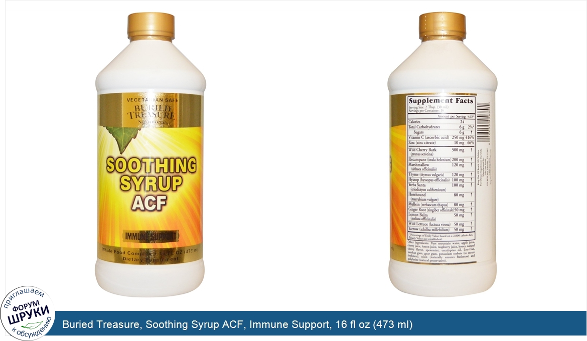 Buried_Treasure__Soothing_Syrup_ACF__Immune_Support__16_fl_oz__473_ml_.jpg