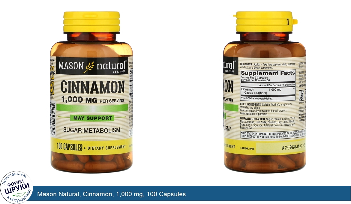 Mason_Natural__Cinnamon__1_000_mg__100_Capsules.jpg