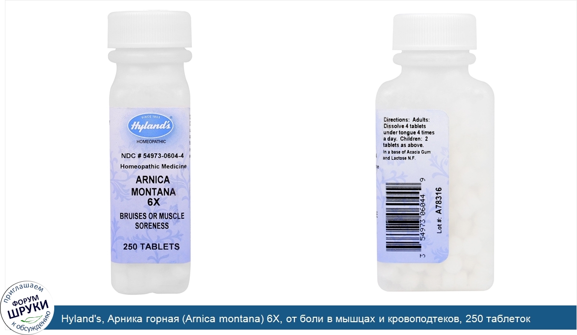 Hyland_s__Арника_горная__Arnica_montana__6X__от_боли_в_мышцах_и_кровоподтеков__250_таблеток.jpg