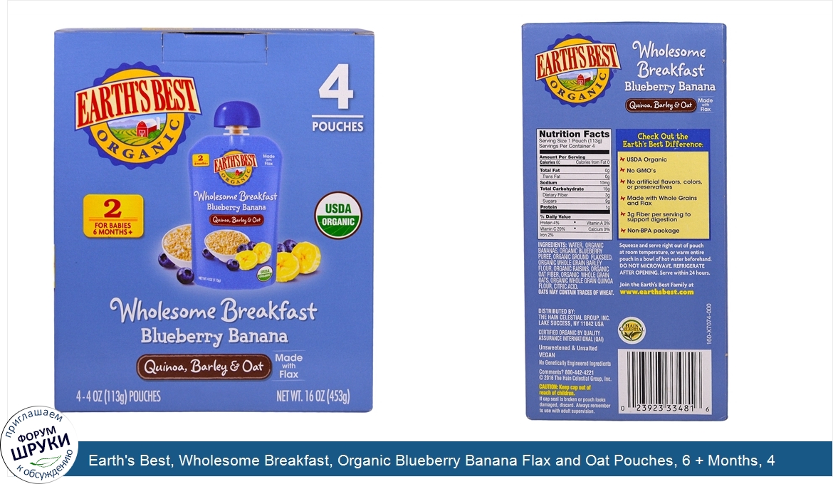 Earth_s_Best__Wholesome_Breakfast__Organic_Blueberry_Banana_Flax_and_Oat_Pouches__6___Months__...jpg