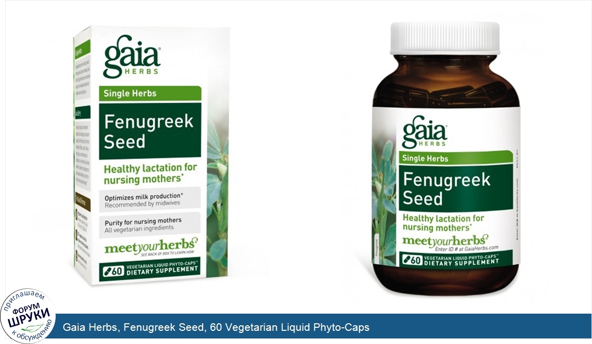 Gaia_Herbs__Fenugreek_Seed__60_Vegetarian_Liquid_Phyto_Caps.jpg