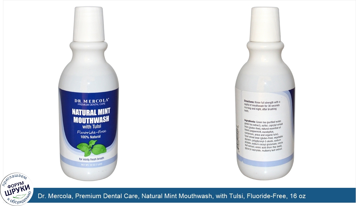 Dr._Mercola__Premium_Dental_Care__Natural_Mint_Mouthwash__with_Tulsi__Fluoride_Free__16_oz.jpg