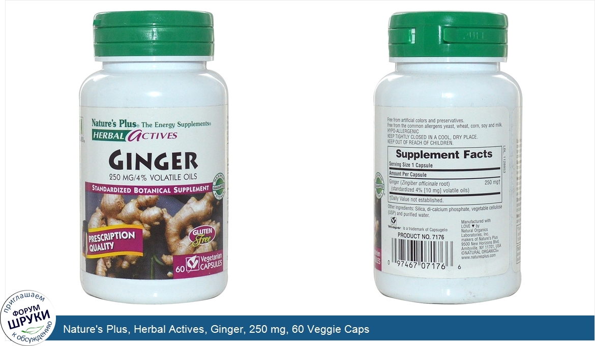 Nature_s_Plus__Herbal_Actives__Ginger__250_mg__60_Veggie_Caps.jpg