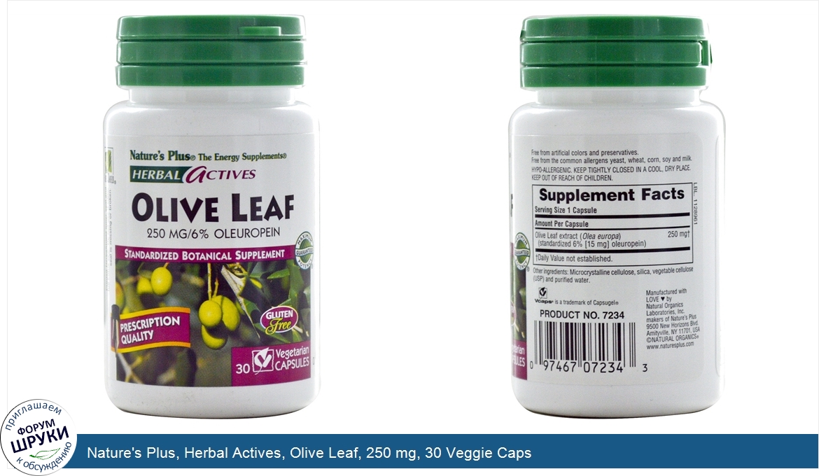 Nature_s_Plus__Herbal_Actives__Olive_Leaf__250_mg__30_Veggie_Caps.jpg