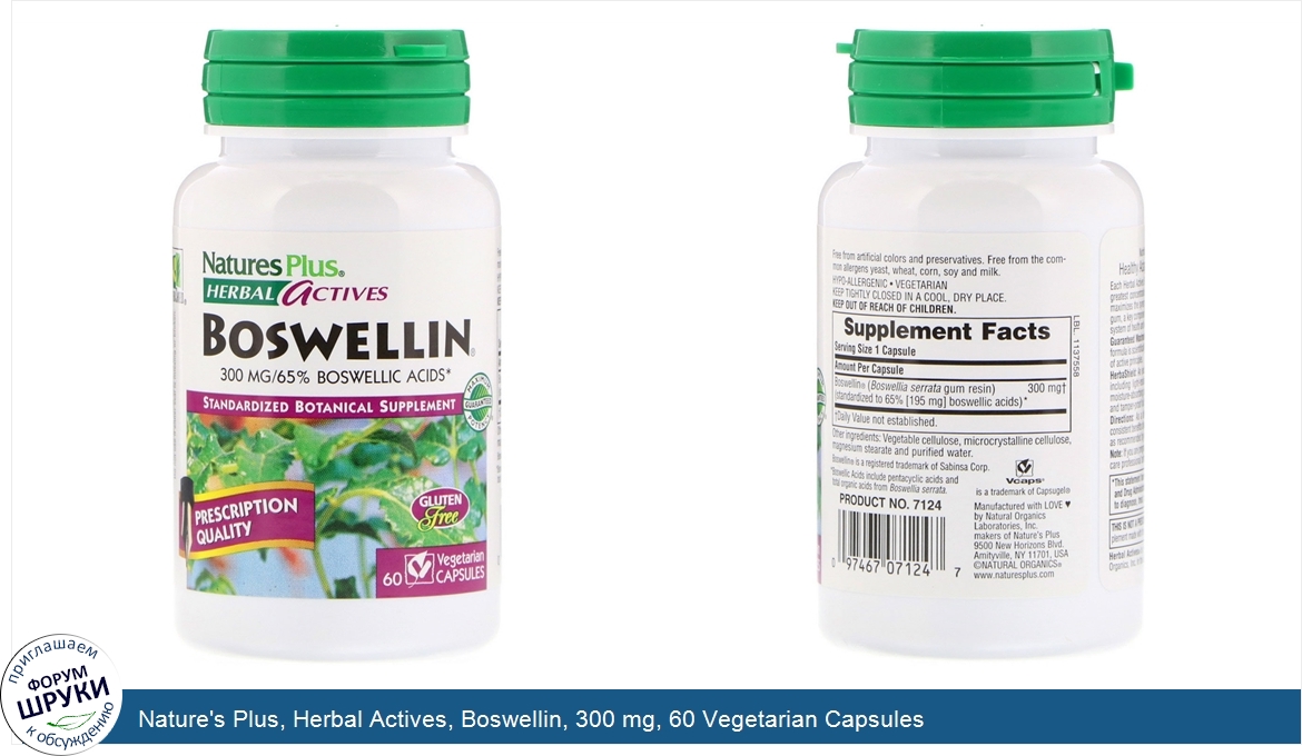 Nature_s_Plus__Herbal_Actives__Boswellin__300_mg__60_Vegetarian_Capsules.jpg