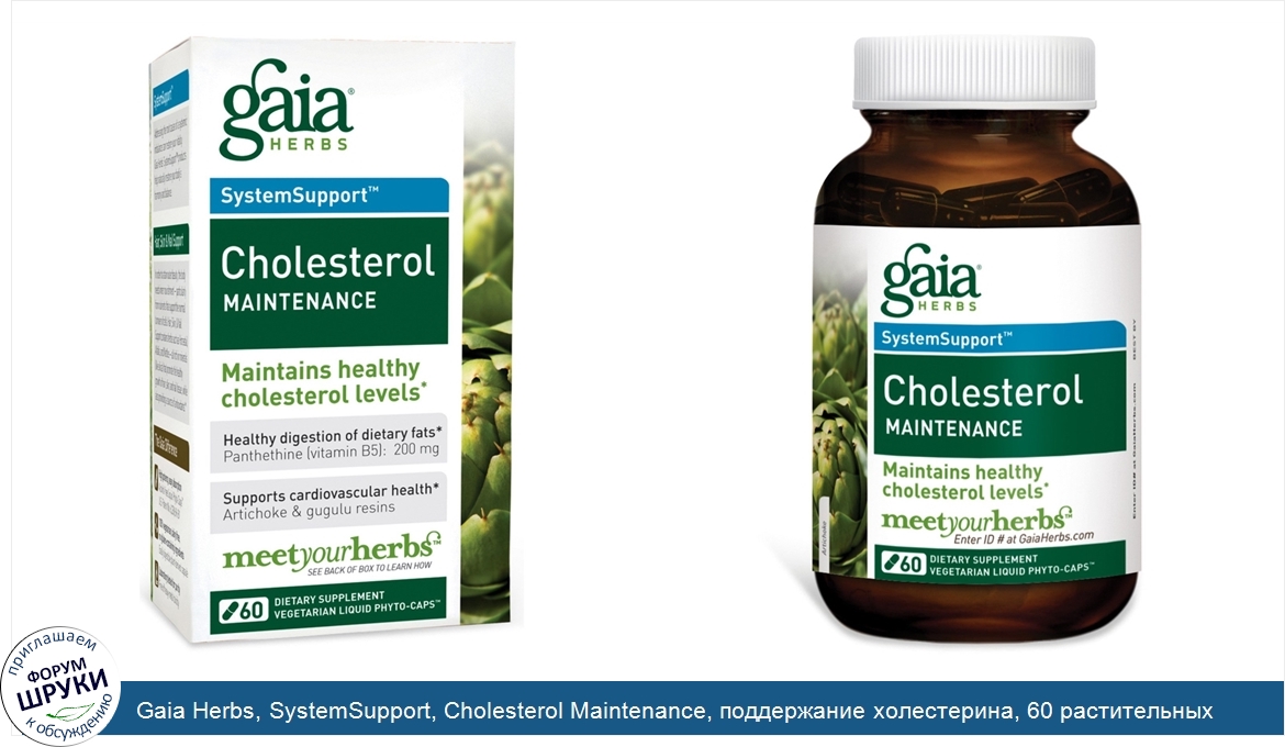 Gaia_Herbs__SystemSupport__Cholesterol_Maintenance__поддержание_холестерина__60_растительных_ж...jpg