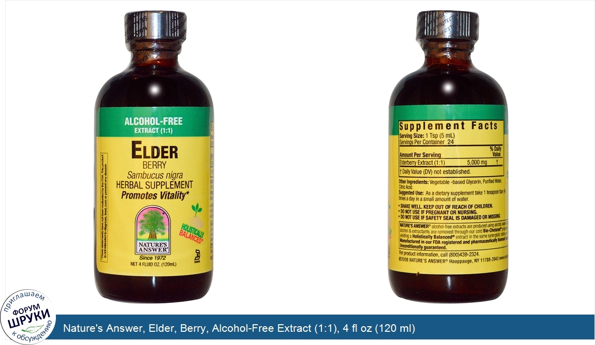 Nature_s_Answer__Elder__Berry__Alcohol_Free_Extract__1_1___4_fl_oz__120_ml_.jpg