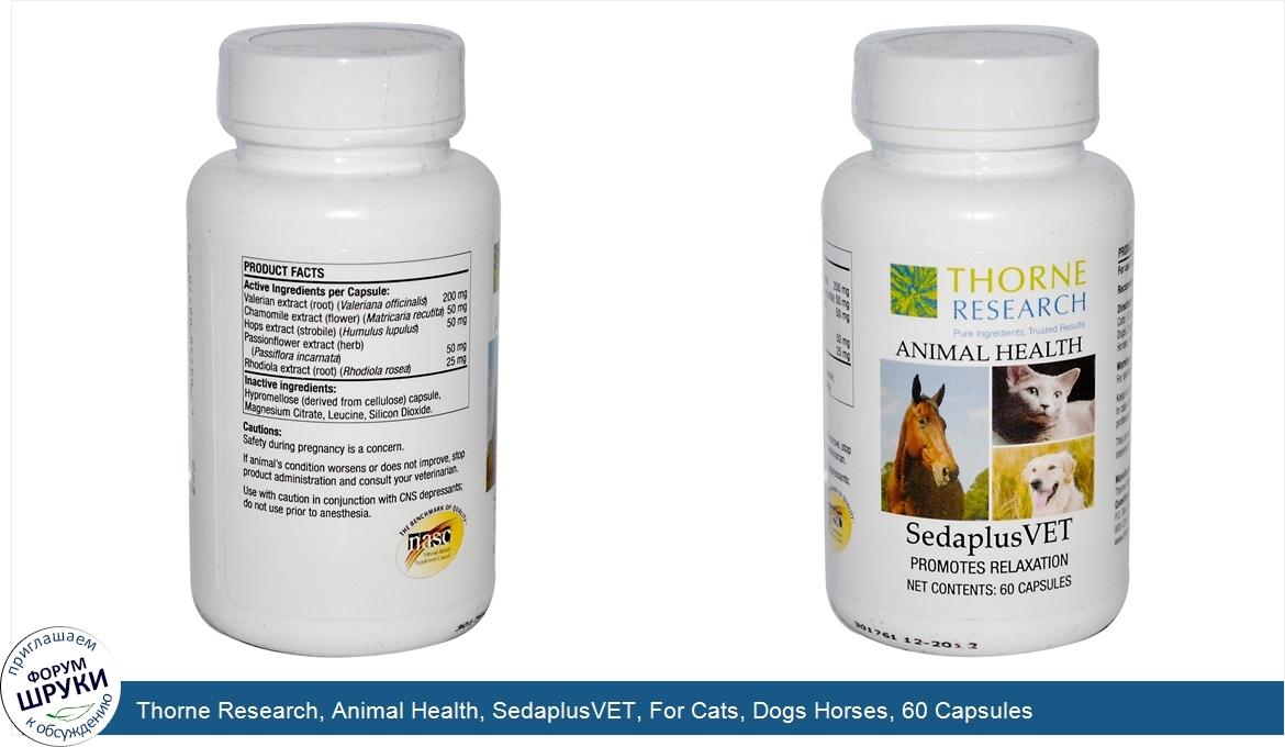 Thorne_Research__Animal_Health__SedaplusVET__For_Cats__Dogs_Horses__60_Capsules.jpg