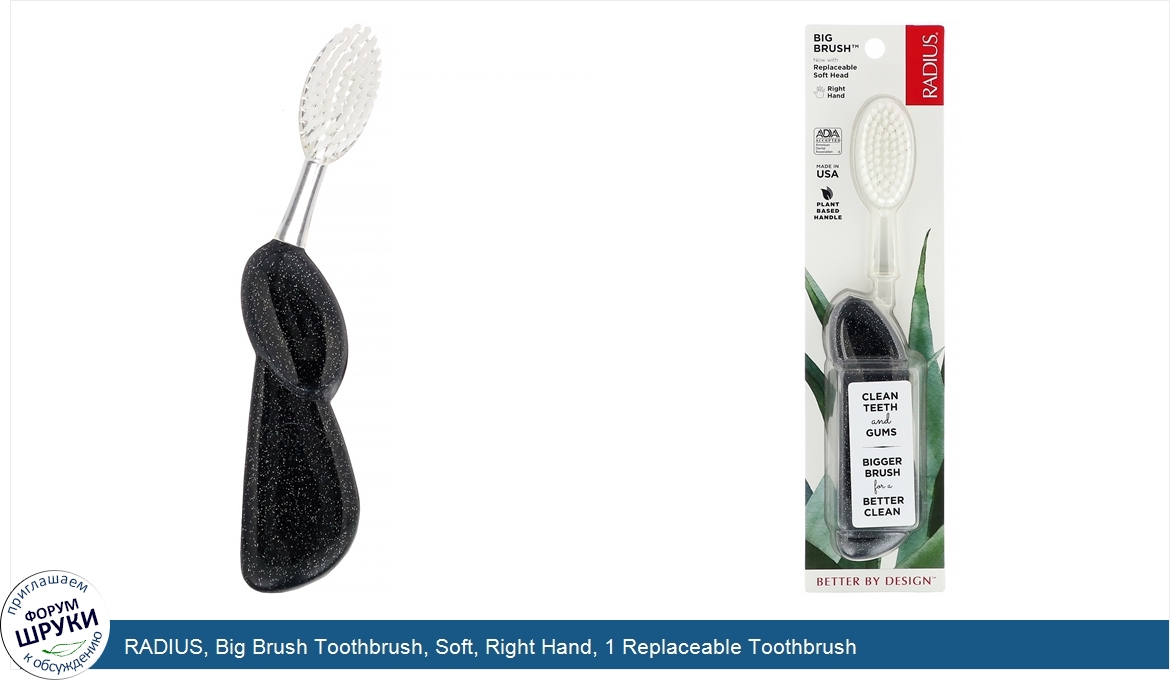 RADIUS__Big_Brush_Toothbrush__Soft__Right_Hand__1_Replaceable_Toothbrush.jpg