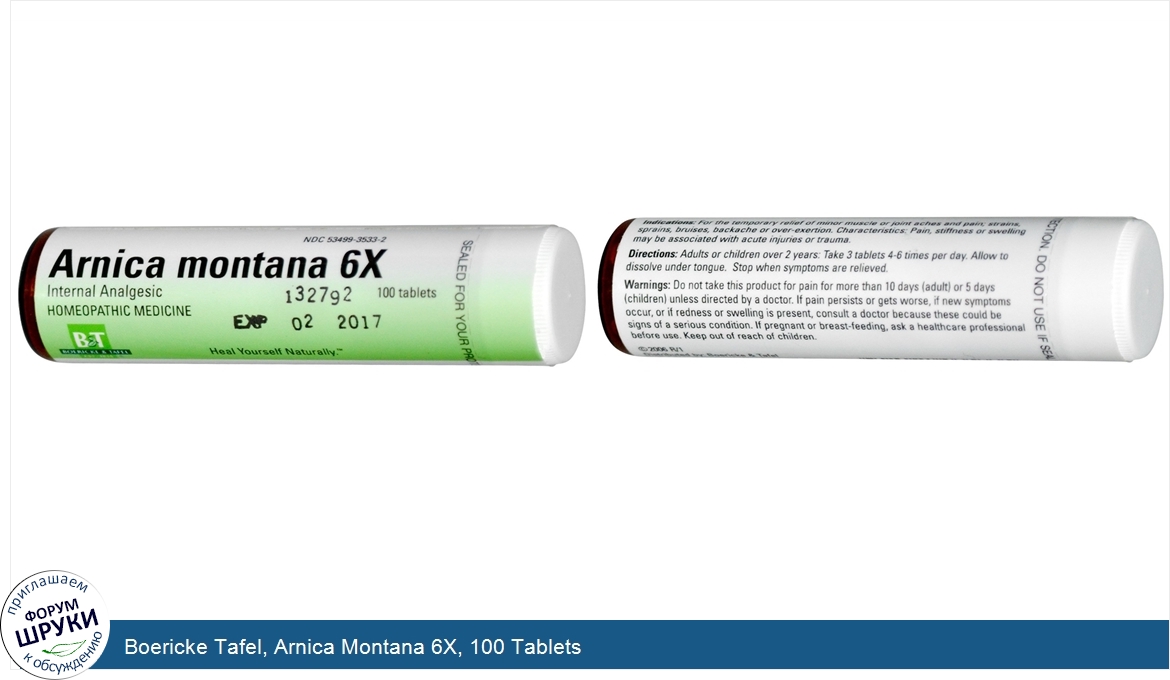 Boericke_Tafel__Arnica_Montana_6X__100_Tablets.jpg