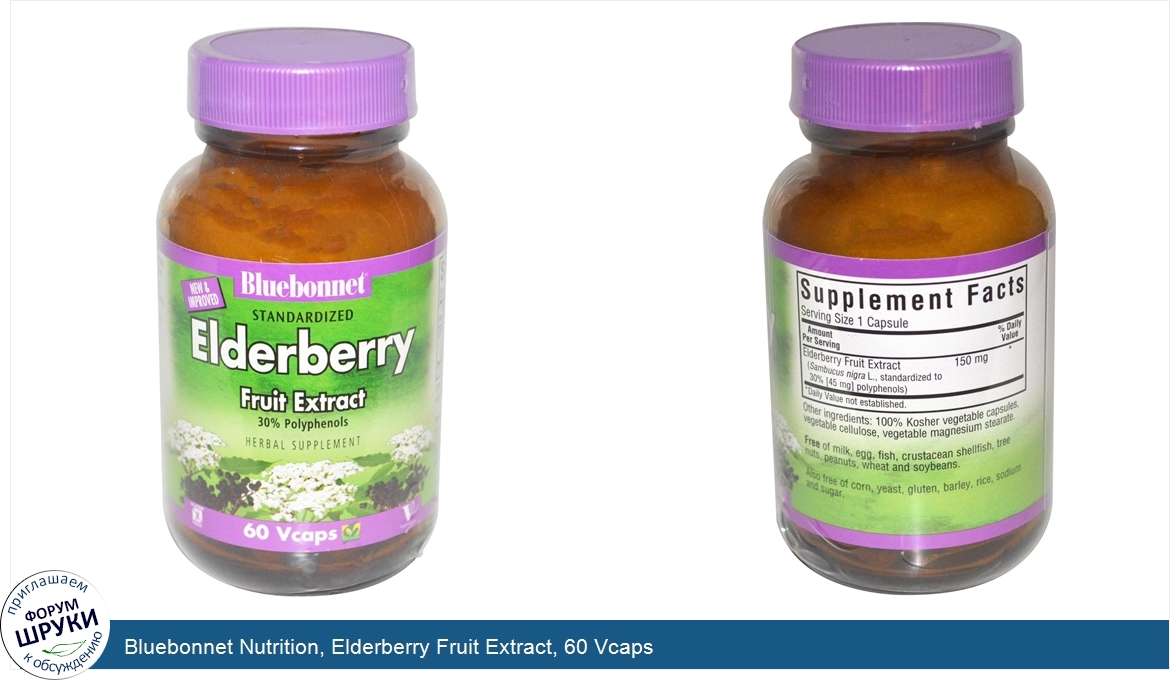 Bluebonnet_Nutrition__Elderberry_Fruit_Extract__60_Vcaps.jpg