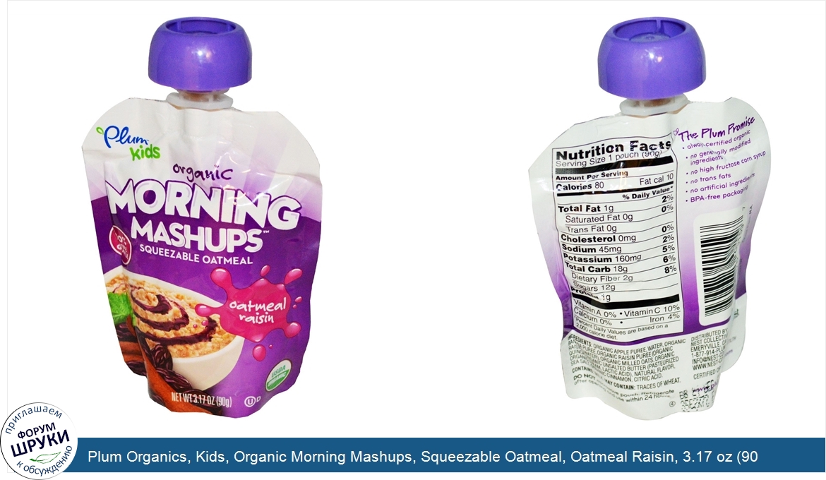 Plum_Organics__Kids__Organic_Morning_Mashups__Squeezable_Oatmeal__Oatmeal_Raisin__3.17_oz__90_g_.jpg