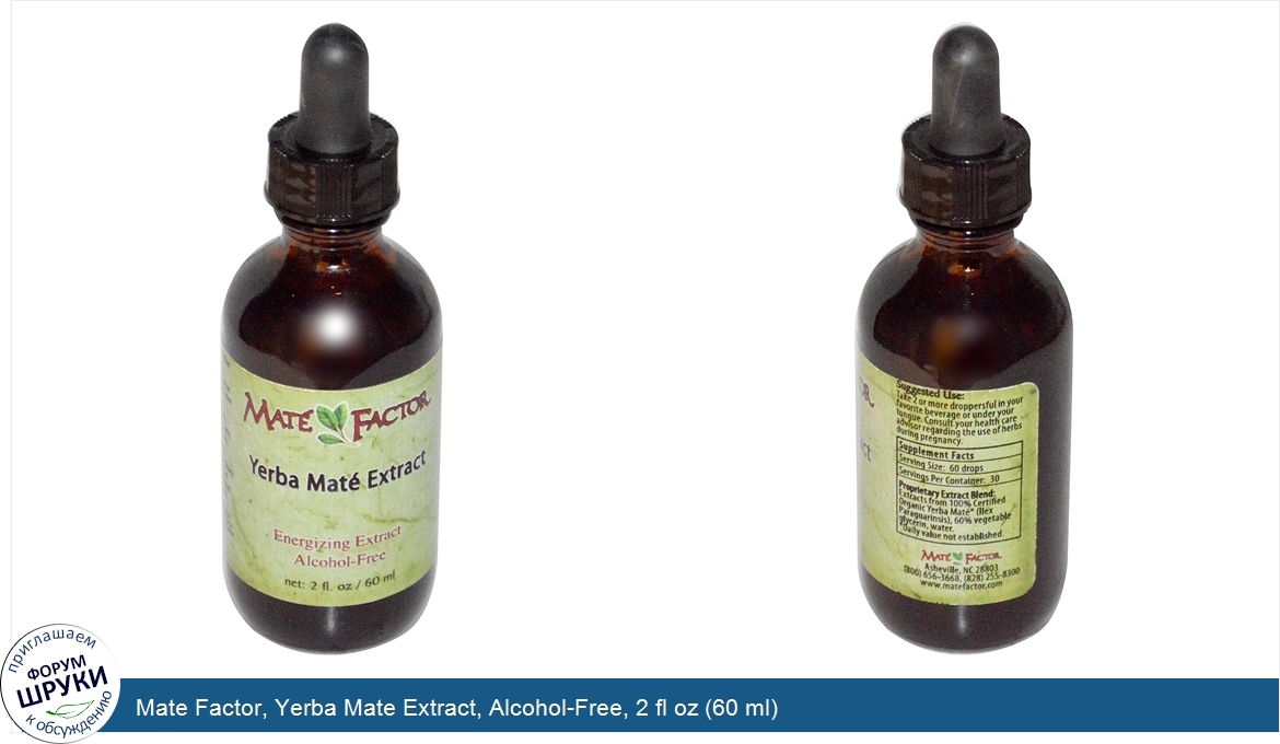 Mate_Factor__Yerba_Mate_Extract__Alcohol_Free__2_fl_oz__60_ml_.jpg