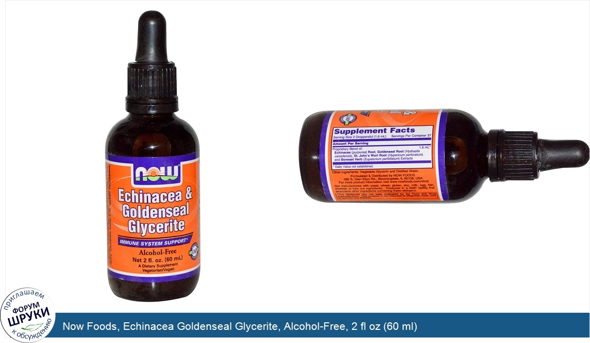 Now_Foods__Echinacea_Goldenseal_Glycerite__Alcohol_Free__2_fl_oz__60_ml_.jpg