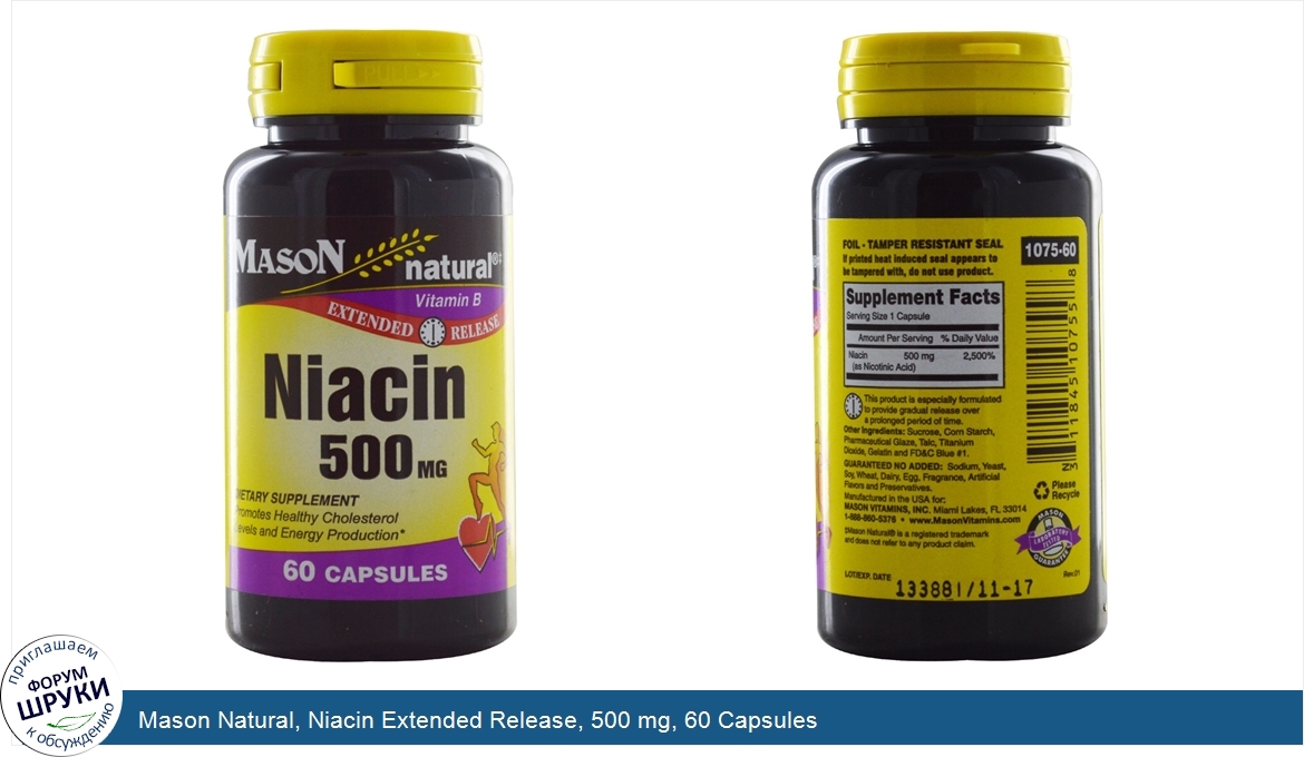 Mason_Natural__Niacin_Extended_Release__500_mg__60_Capsules.jpg