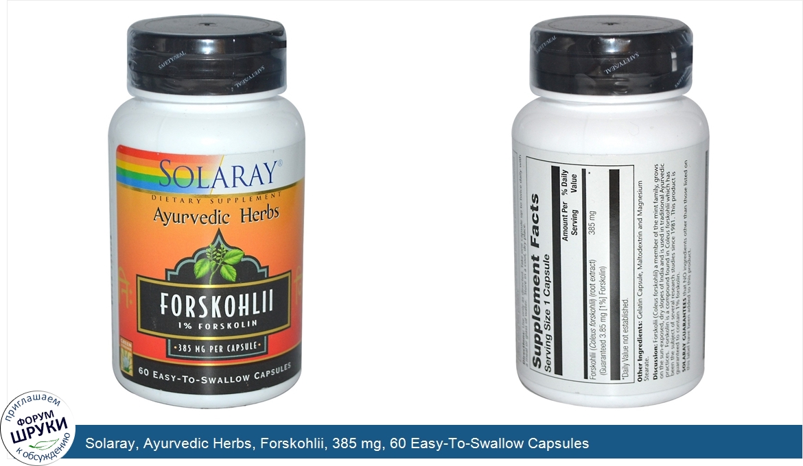 Solaray__Ayurvedic_Herbs__Forskohlii__385_mg__60_Easy_To_Swallow_Capsules.jpg