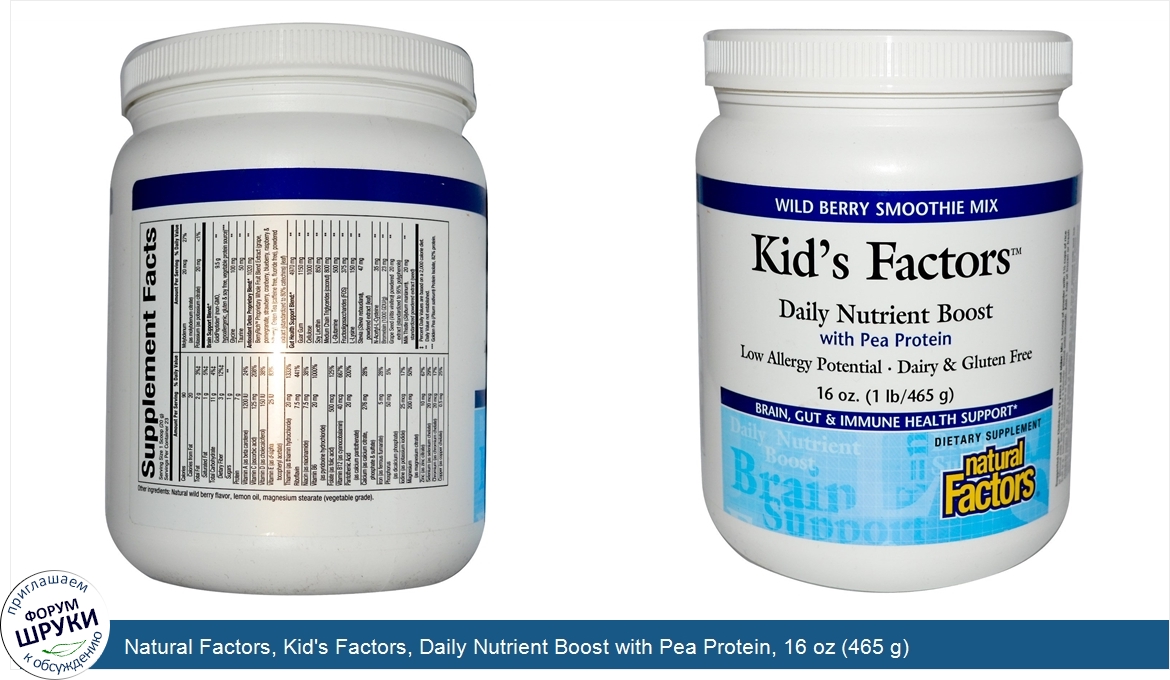 Natural_Factors__Kid_s_Factors__Daily_Nutrient_Boost_with_Pea_Protein__16_oz__465_g_.jpg