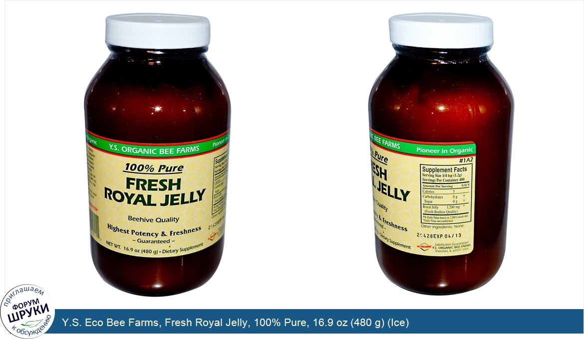 Y.S._Eco_Bee_Farms__Fresh_Royal_Jelly__100__Pure__16.9_oz__480_g___Ice_.jpg