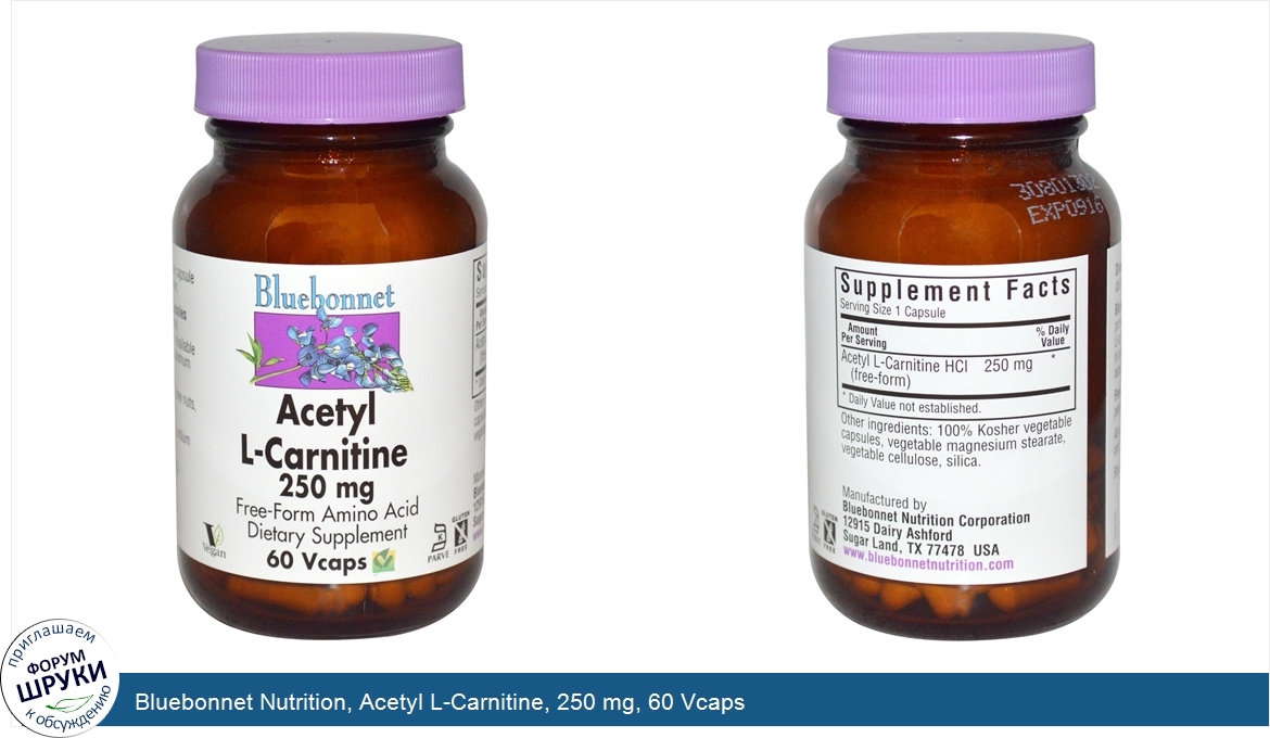 Bluebonnet_Nutrition__Acetyl_L_Carnitine__250_mg__60_Vcaps.jpg