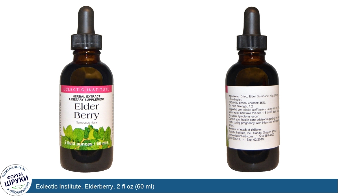 Eclectic_Institute__Elderberry__2_fl_oz__60_ml_.jpg