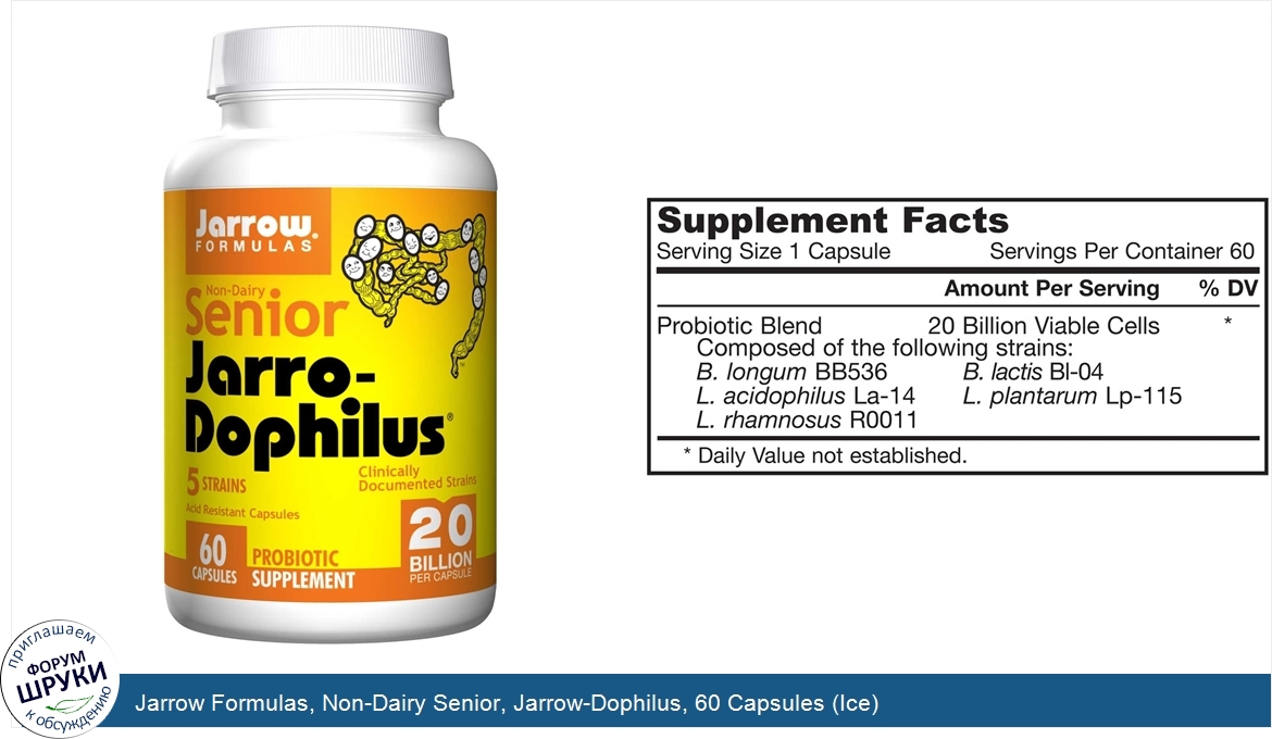 Jarrow_Formulas__Non_Dairy_Senior__Jarrow_Dophilus__60_Capsules__Ice_.jpg