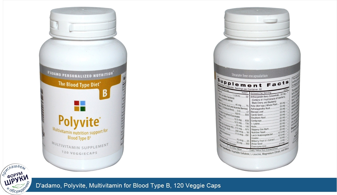 D_adamo__Polyvite__Multivitamin_for_Blood_Type_B__120_Veggie_Caps.jpg